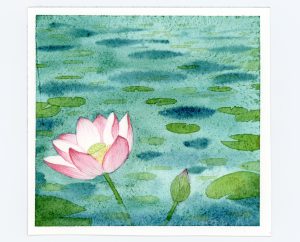 waterlily watercolor