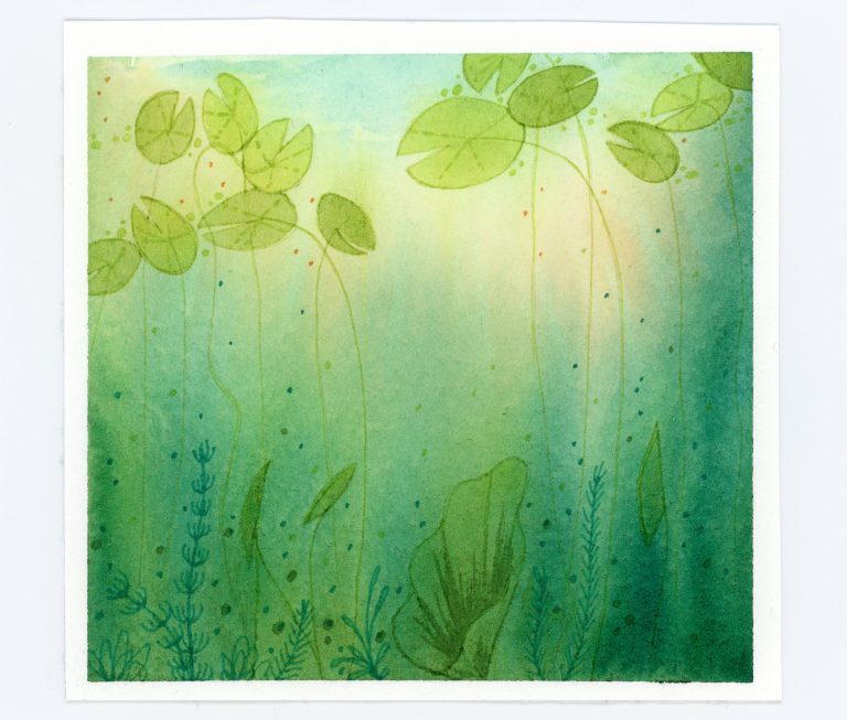 water lilies underwater view in watercolor and ink