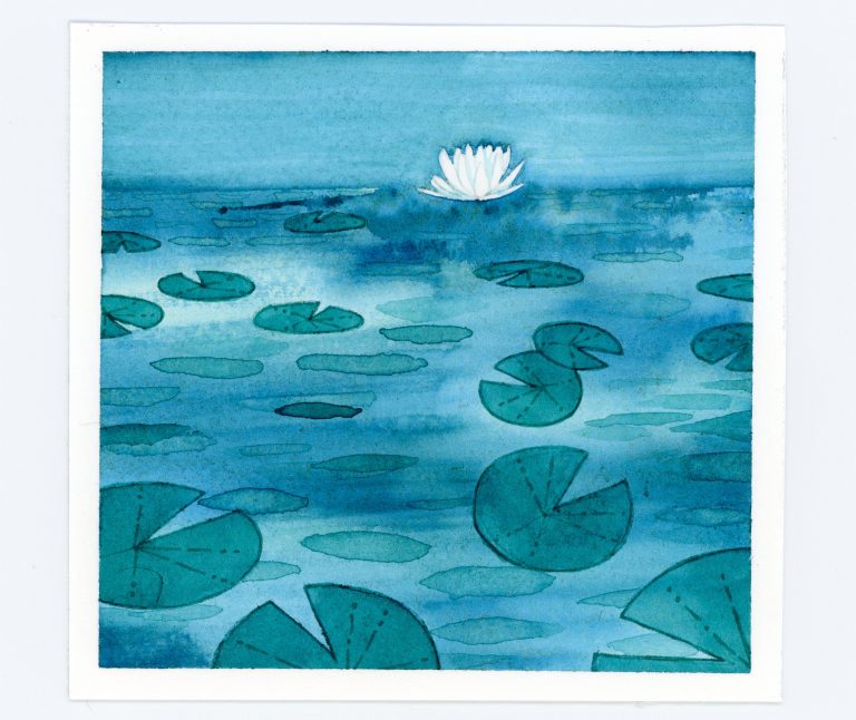 waterlily watercolor and ink illustration