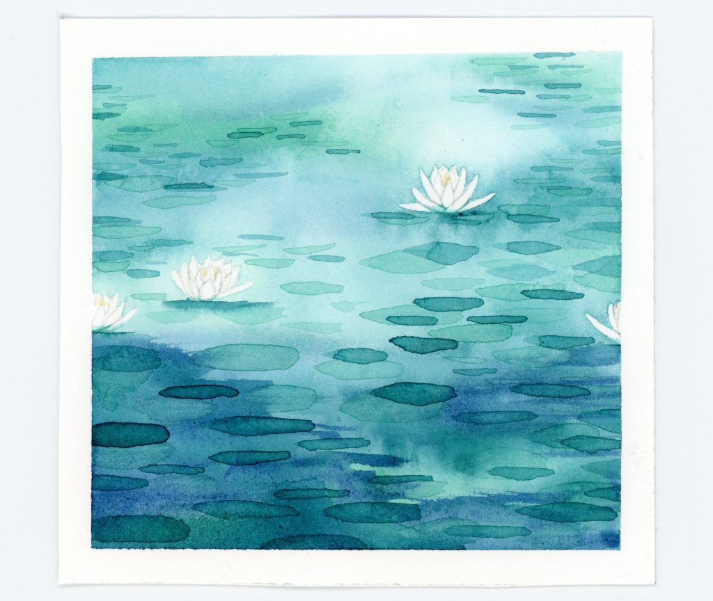 waterlily watercolor illustration
