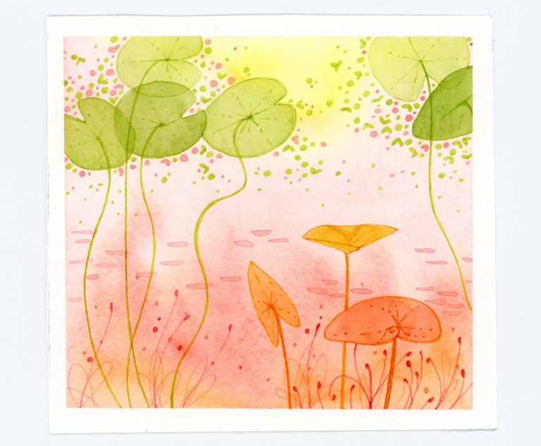 Lily pad watercolor and ink illustration