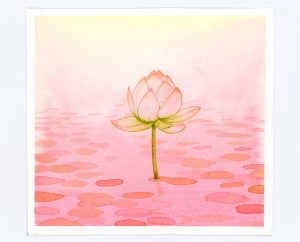 Peachy watercolor waterlily illustration