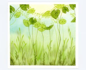 Lily pads underwater in watercolor and ink