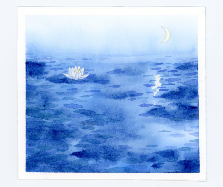 waterlily at night watercolor illustration