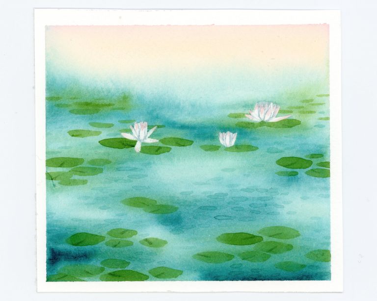 waterlilies among lily pads watercolor illustration