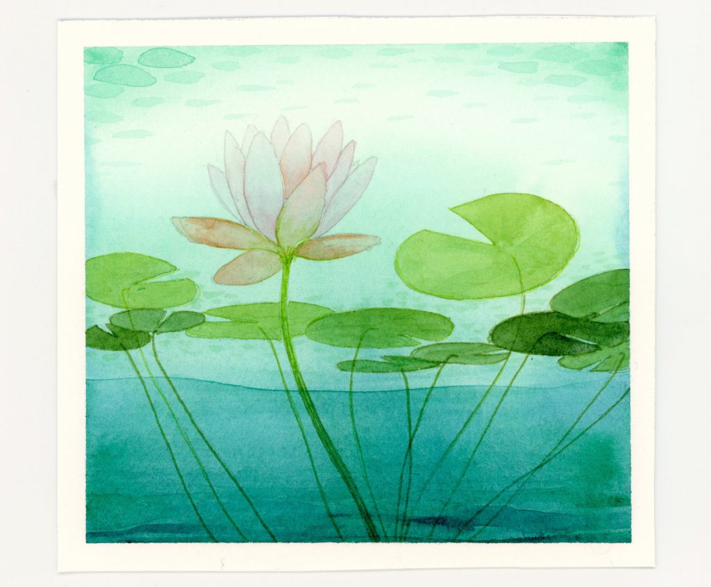 underwater view of waterlily watercolor illustration