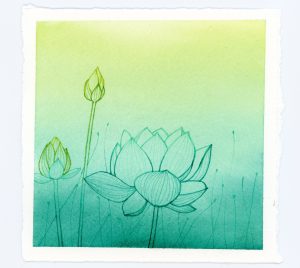 Waterlily watercolor and ink illustration art