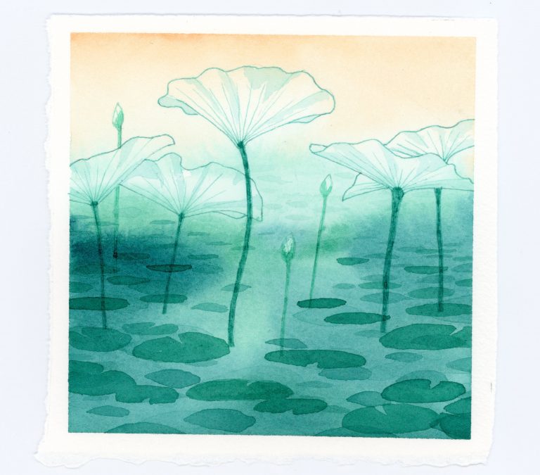 Lily pads watercolor and ink illustration