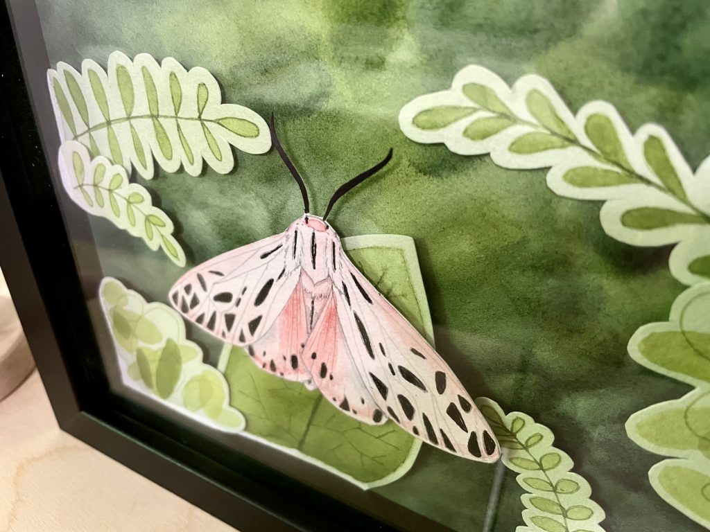Pink Moth shadow box art