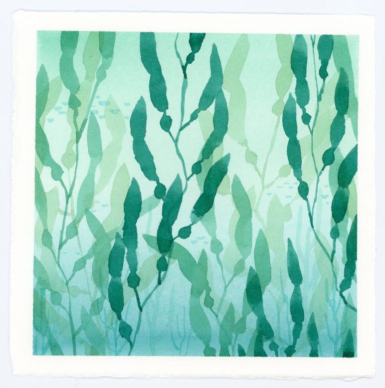 Seaweed watercolor scene
