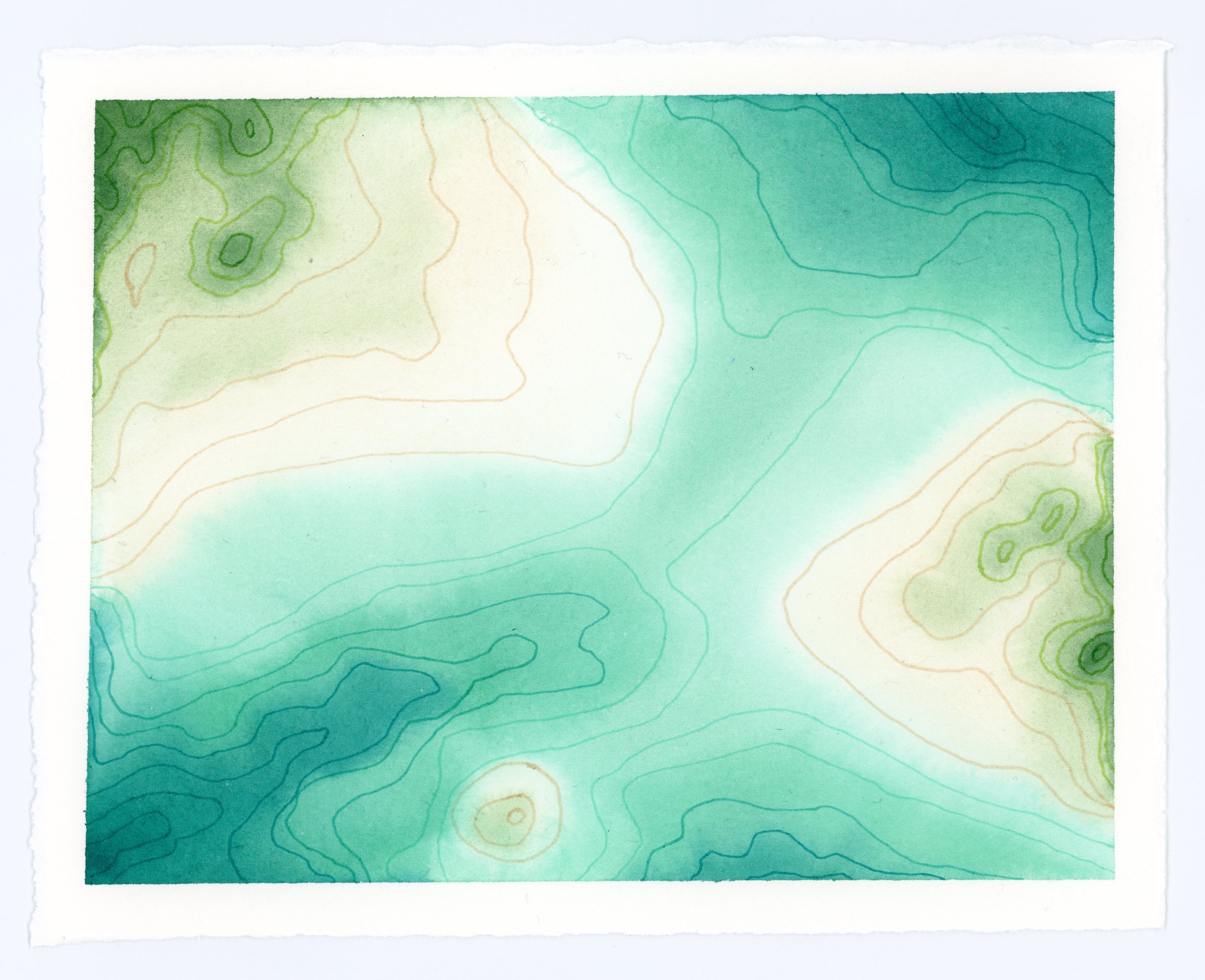 Topography watercolor and ink art