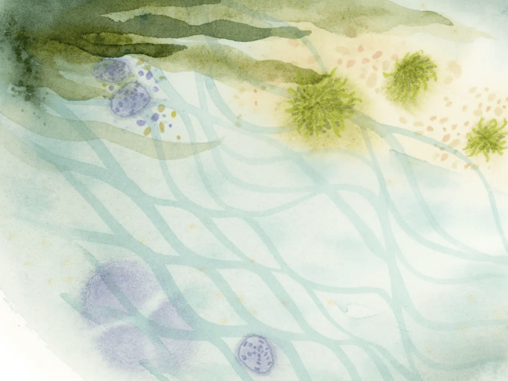 Tide Pool Abstract No. 4 in watercolor and Ink