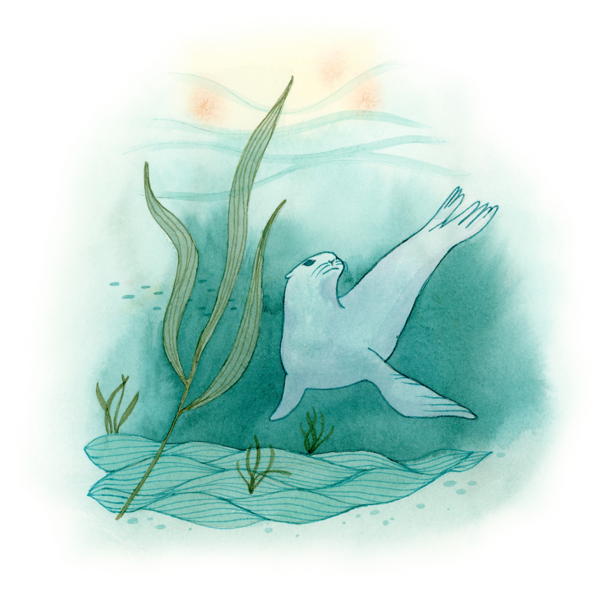 Sea Lion Underwater watercolor painting
