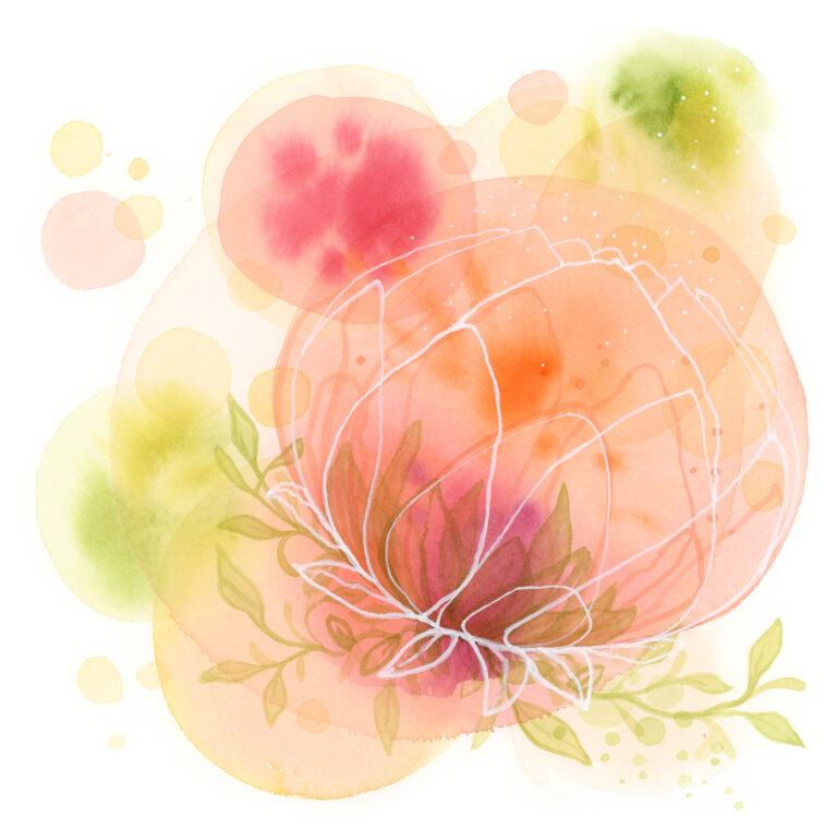 Peach Lotus Watercolor